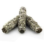 Nosy Nomad White Sage Smudge Stick (Salvia apiana) | Small Incense Sticks Set of 3 - Sage Smudge Stick Gift Set, Spiritual Gifts & Supplies, New Home Gift, Native American Gifts, Ideal For Meditation