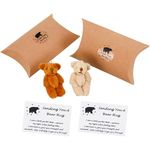 Bestomrogh 2 Pack A Little Pocket Bear Hug, Pocket Hug Love Token Sending You a Hug Card and a Plush Bear Toy for Keychain, Cute Fun Animal Pocket Hug Give Bear Hugs to Whoever Needs One, Gifts