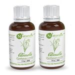 Naturalis Essence of Nature Citronella Essential Oil - 30ml Pack of 2