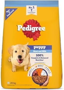 Pedigree P