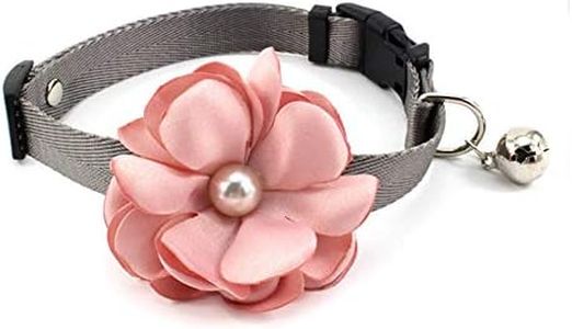 PETFAVORIT