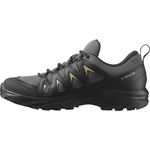 Salomon Men's X Braze Gore-Tex Outdoor, Magnet/Black/Gray Green, 9.5 UK