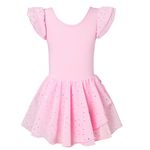 TUONROAD Kids Girl Ballet Leotard Pink Athletic Gymnastics Leotards Dancewear Short Sleeve Ballet Outfit Dance Tutu Dress Skirts 6-7 Years