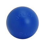 Jolly Pets Push-n-Play Dog Toy, 25 cm, Blue