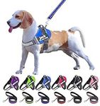 Moonpet Personalized No Pull Dog Harness Leash Set with Custom Name and Phone Number, Heavy Duty Pet Vest to Prevent Tugging, Pulling, or Choking, Training and Walking (XS-XXL, 9 Colorful)…