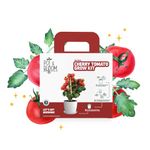 Pot and Bloom Cherry Tomato Gardening Kit| Home Gardening| Pack Includes- Cherry Tomato Seeds, Pot, Poting Mix(Soil & Fertilizer Mix)| Plant Growth and Protection Spray