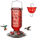 Kingsyard Glass Hummingbird Feeder 