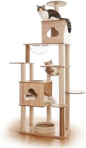 Wooden Cat