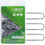 V-MODEST 3