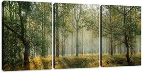 Yetaryy Forest Canvas Wall Art Decor 3 Panel Green Tree Picture Print Poster Decorative Painting Wall Art for Living Room Bedroom Office Home Decor Stretched Framed Ready to Hang - 60" Wx28 H