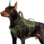 WINGOIN Green Harness with Handle T