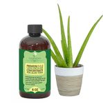 Premium Liquid Aloe Vera Plant Fertilizer - 3-1-2 Concentrate for Indoor Plants and Flowers by GardenNova | Organic Plant Food for Aloe Vera Plants - 8oz