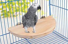 Sage Square Natural Wood Bird Platform Cum Perch IdDeal for All Birds (Light Weight)