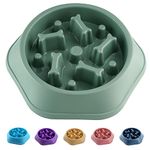 Slow Feeder Dog Bowls Food Stop Bloat Anti Gulping Healthy Eating Interactive Non Slip Dog Slow Feeder Pet Bowl Slow Eating for Small Medium Size Dogs & Cats (Green Bowl, Bone)