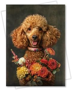 Poodle wit