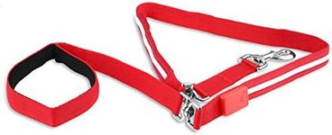 Blazin' Safety LED Dog Leash - USB Rechargeable Flashing Light, 6 Ft, Water Resistant – Avoid Danger – Red