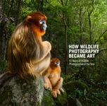 How Wildlife Photography Became Art