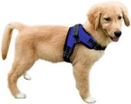 Copatchy No Pull Reflective Adjustable Dog Harness With Handle- Comfortable Soft All Weather Mesh, Easy On Puppy Harness For Small Medium and Large Dogs (Blue) Medium