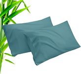 Bamboo Pillow Cases King Size 2 Pack, Teal Cooling Pillowcases with Envelope Closure, Cool & Breathable Pillow Case for Hot Sleepers and Night Sweats, 20x40 inches