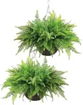 QIANYUN Fake Fern Outdoor Artificia