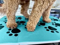 Dog Grooming Table Mat, Non Slip Pad, Soft, Stable, (Cyan, 24x 36inch)