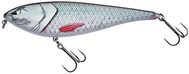 Berkley Zilla Glider, Fishing Hook,