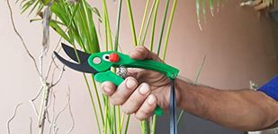 Pure Source India Garden Tool, Garden Scissors, Pruning Seeds, Flower Cutter and Grass Cutter.