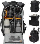 Lowepro ProTactic BP 350 AW III Cam