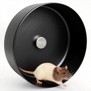 11.8" Silent Fancy Rat Exercise Wheel, Aluminum Alloy Noiseless Hamsters Running Wheel for Fancy Rat, Syrian Hamsters, Hedgehogs and Small Pets (Bracket-Black)