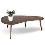 Zenvida Madison Mid Century Modern 