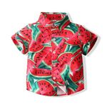 Koijhnb Baby Boys Hawaiian Shirts Novelty Printed Funky Short Sleeve Button Down Shirt Toddler Aloha Luau Shirt 2-5T(Pink,3-4T)