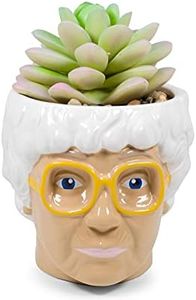 The Golden Girls Sophia Face Mini Ceramic Planter Decor | Official TV Show Collectible | Small Flower Pot for Indoor Plants, Includes Artificial Succulent | 3 Inches