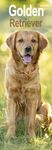 Golden Retriever Slim Calendar 2025 Dog Breed Slimline Calendar - 12 Month