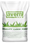 Avern Turbo Cold, Winter Grass Seed 500g, Quality Lawn Seed, Hard Wearing Grass, Dog Friendly, Germinates in Colder Weather, Ideal for Overseeding or New UK Gardens (0.5KG, Upto 30 sqm Coverage)