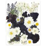 37pcs Black Dried Pressed Flowers for Resin Molds,YouthBro Real Natural Pressed Flowers for DIY Art Crafts,Candle Making, Nails Décor,Soap Making, Phone Case