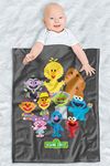 Sesame Street Fleece Baby Blanket, 30"x40", Kawaii Group Style, Unisex for Girls & Boys, Infants/Toddlers