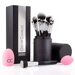 Oscar Charles 17 Piece Professional Makeup Brush Set: Make up brushes with Case, Beauty Blender, Brush Cleaner, Product Guide and Gift Box