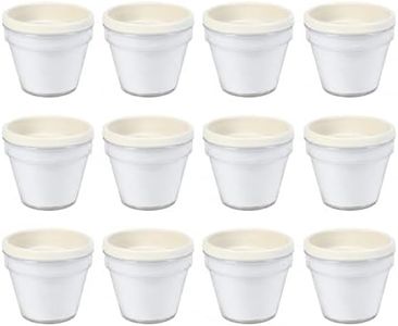 Fun Express 3 3/4" White DIY Plastic Flower Pots with Paper Insert - 12 Pots - Great for Mother's Day, Easter, Spring, School and at Home Crafting