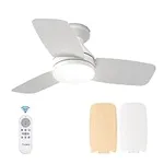 Amico Ceiling Fans with Lights, 30 