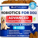 Probiotics for Dogs - Support Gut H