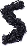 TJOM Women's Frill Hair Extension For Juda Bun Maker & Ponytail, Pack Of 1 (Black)