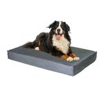 Urban Yogi Memory Foam Dog Bed - 1 Year Warranty - Orthopedic Dog Bed with Removable Washable Cover, Pet Bed, Cat Bed, Bed for Dog, Cat Sleeping Bed (Orthopedic, Silver, Large)