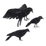 Yardenfun 3pcs Simulation Crow Indo