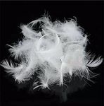 ROSE FEATHER Bulk Goose Down Feather Stuffing & Fill – Hypoallergenic Pillow Filling, Repair, Restuff, Fluff for Couch Cushions, Comforters, Jackets5/95-1Lb DIY