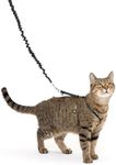 PetSafe Come with Me Kitty Harness 