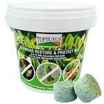 TOPBUXUS Boxwood Restore & Protect Mix - 10 tabs for 100m2 - Foliar Fertilizer