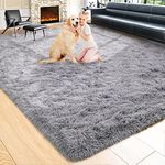 Noahas 5x8 Fluffy Grey Area Rugs for Living Room,Shaggy Rugs for Bedroom,Big Fuzzy Carpet,Soft Thick Plush Shag Rug,Comfy Kids Rugs,Large Living Room Rugs Home Decor