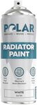 Polar Radiator Spray Paint - 400ml,