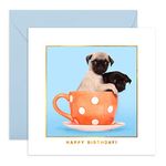 CENTRAL 23 Funny Birthday Card for Daughter Son - Two Pug in a Mug - Friend Birthday Card - Brother Birthday Card from Sister - Comes with Funny Stickers