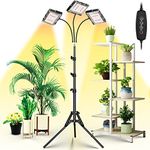 Led Grow Lamps